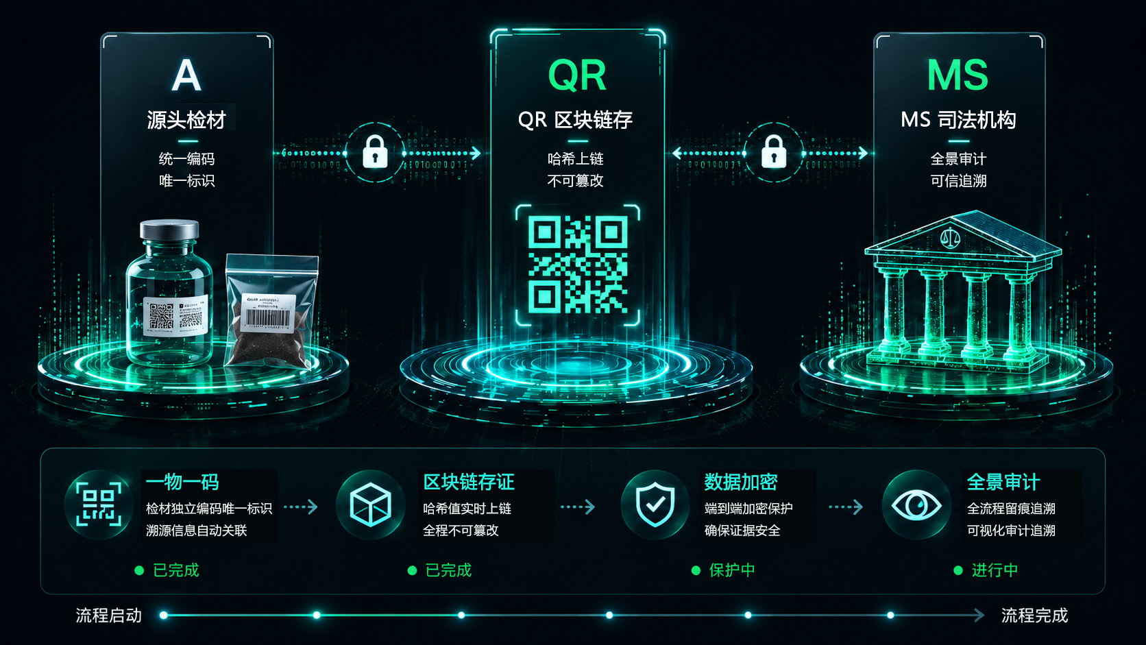 检材明码剥离与全景监管链