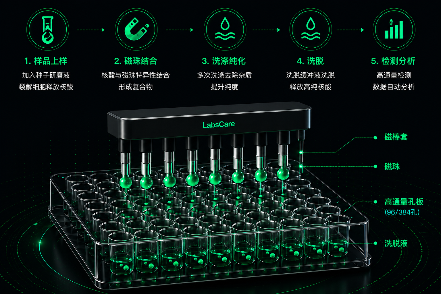 磁珠法高通量种子核酸提取UI